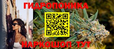 mdpv Аргун