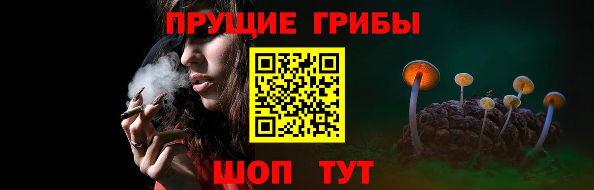 Псилоцибиновые грибы ЛСД  закладка  Вязьма  Вход с VPN 